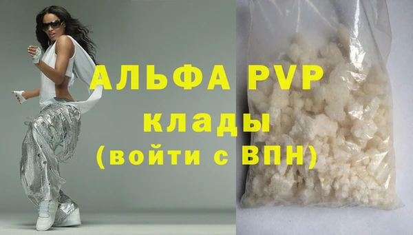 spice Аркадак