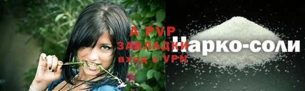 spice Аркадак