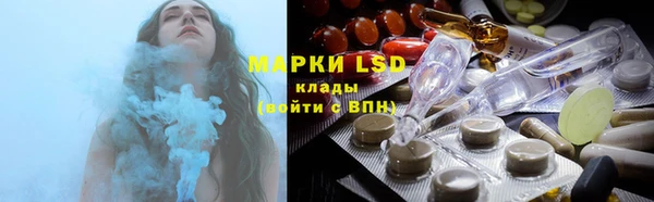 spice Аркадак